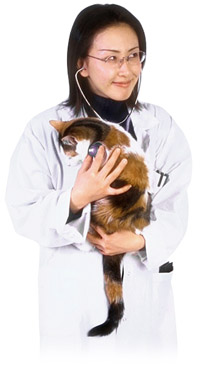 Vet Work jpg