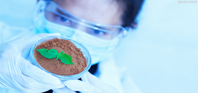 Scientist wearing eye protection and breathing mask inspecting a sample