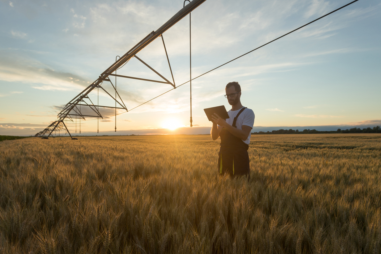 Agricultural consultant analyses plants