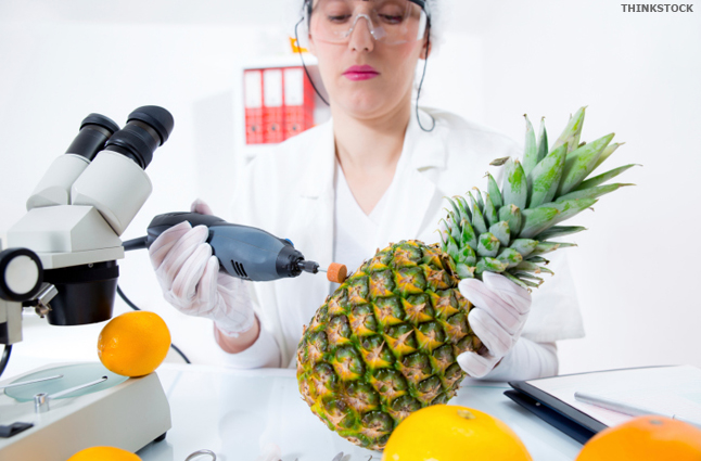 Food Technician Image
