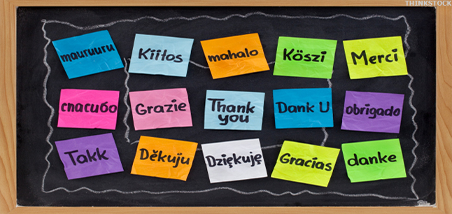 Teacher - Secondary School - Community Languages Image